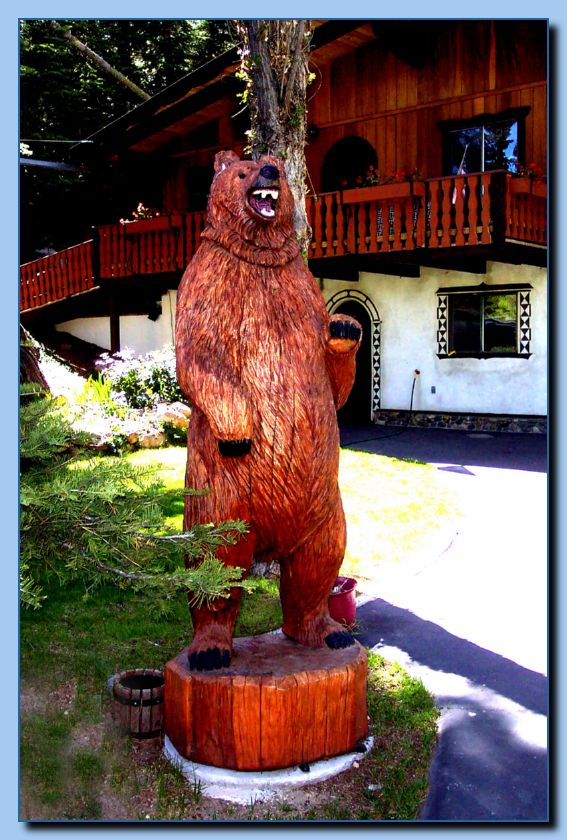 1-25 bear-archive